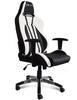 Image of EWinRacing Hero Series HRB Gaming Chair