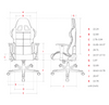 Image of DXRACER Formula Series OH/FD01/GN Gaming Chair