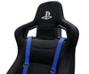 Image of Next Level Racing Gttrack- Playstation® Edition