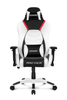 Image of AKRACING Arctica Premium Gaming Chair