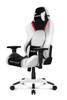Image of AKRACING Arctica Premium Gaming Chair