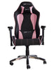 Image of EWinRacing Champion Series CPB Gaming Chair