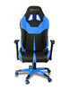 Image of EWinRacing Champion Series CPC Gaming Chair