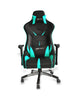 Image of EWinRacing Flash Series FLNB Gaming Chair