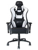 Image of EWinRacing Flash Series FLNC Gaming Chair